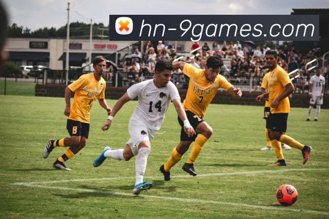 九游官网平台生态图